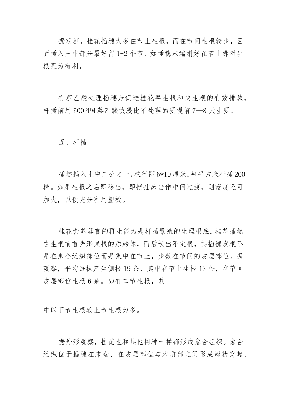 桂花栽培技术 养殖方法和注意事项.docx_第3页