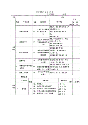 年度绩效考核表（CTO.CEO）.docx