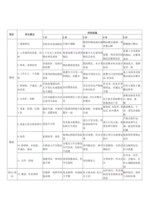 5S评分标准表.docx