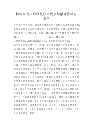 桉树在雪灾后恢复技术要点与措施 供林农参考.docx