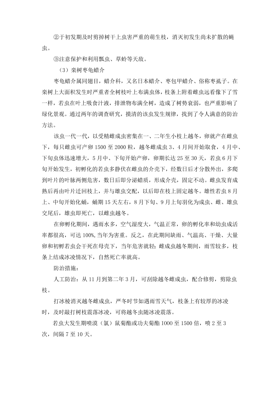 栾树病虫害防治方案及主要养护措施.docx_第2页