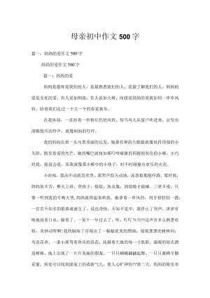 母亲初中作文500字.docx