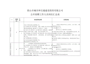 眉山市城市和交通建设投资有限公司公开招聘工作人员岗位汇总表.docx