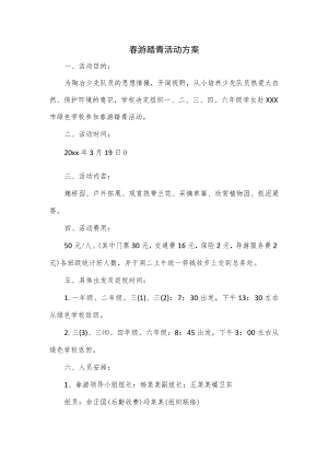 春游踏青活动方案.docx