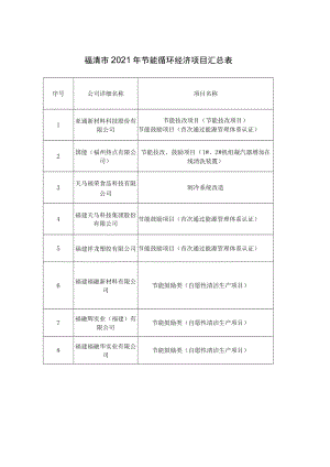 福清市2021年节能循环经济项目汇总表.docx