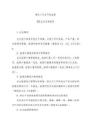 磷化工行业企业自查报告.docx