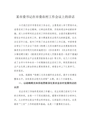 某市委书记在市委农村工作会议上的讲话.docx