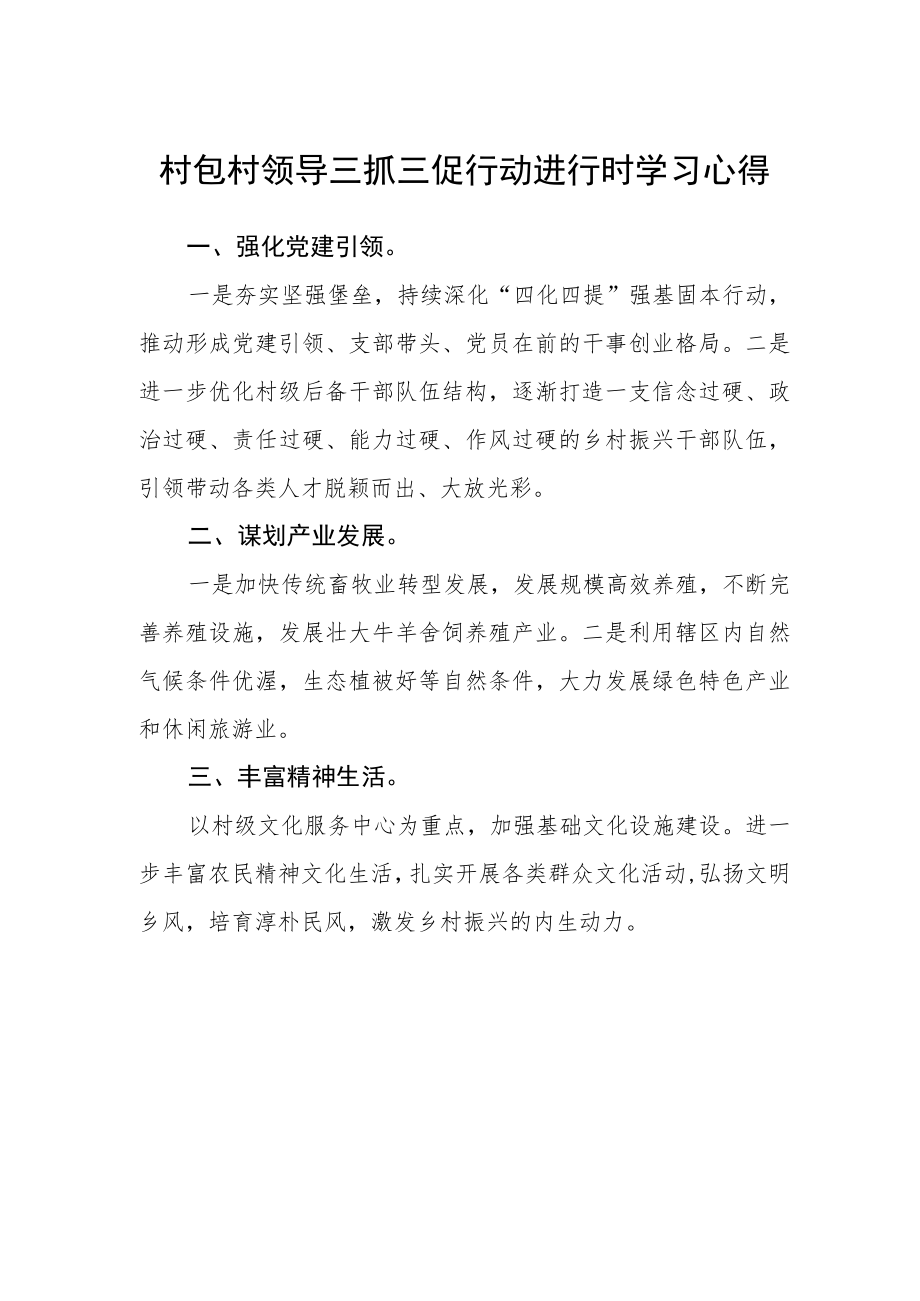 村包村领导三抓三促行动进行时学习心得.docx_第1页