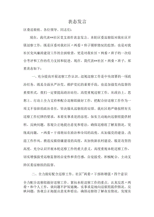 社区支部迎检表态发言.docx