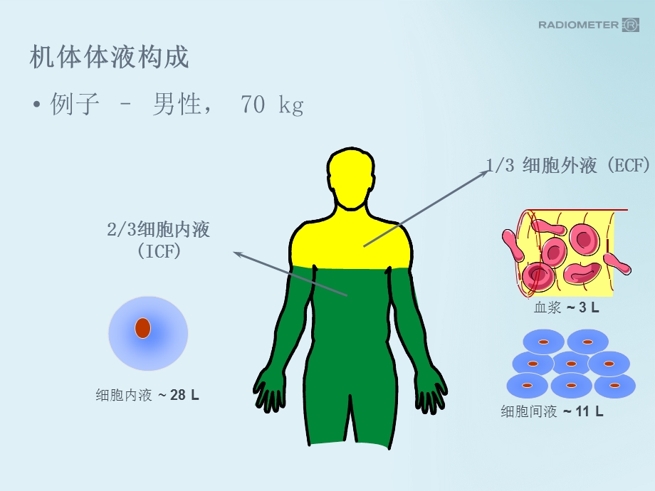 血气基础知识.pptx_第2页