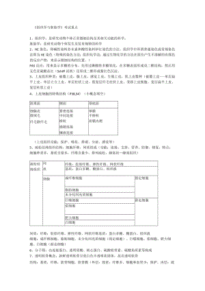 组织学与胚胎学考试重点复习资料重点.docx