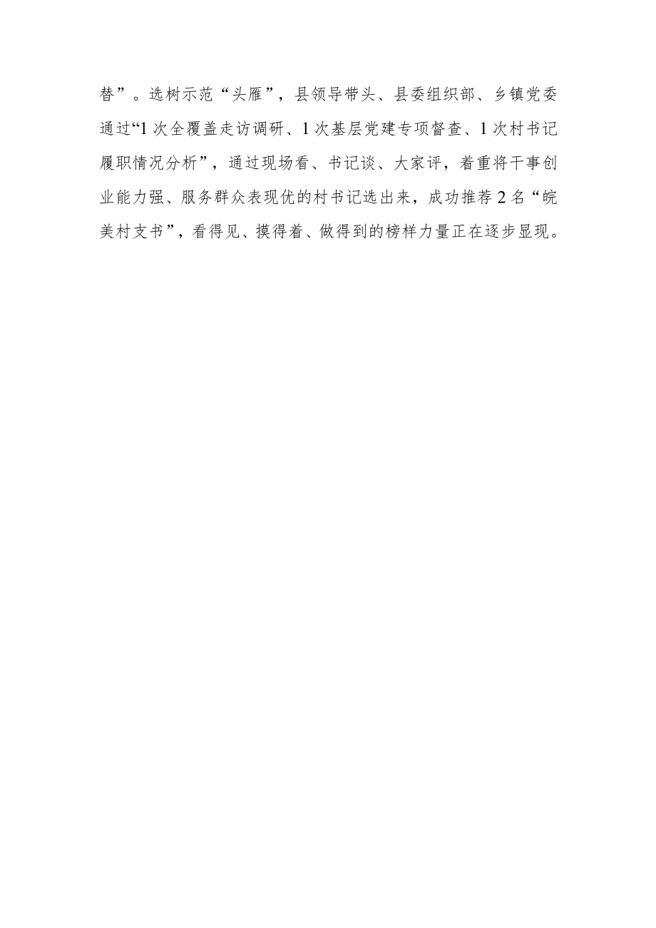 持续深化抓党建促乡村振兴加强村级党组织带头人队伍建设工作总结.docx_第3页