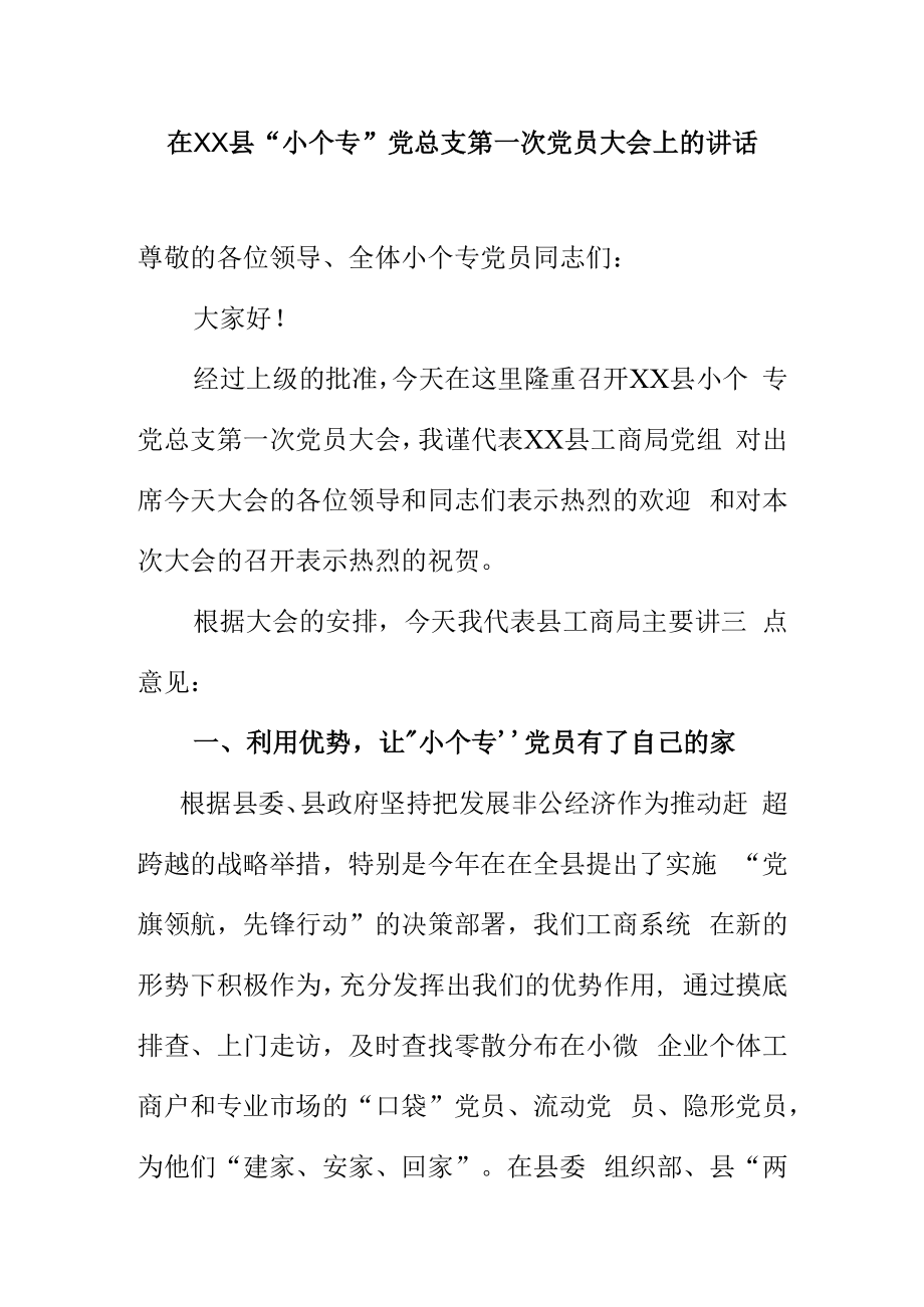 在XX县XX党总支第一次党员大会上的讲话.docx_第1页