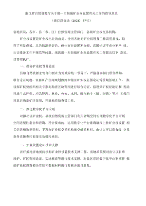 浙江省自然资源厅关于进一步加强矿业权设置有关工作的指导意见.docx