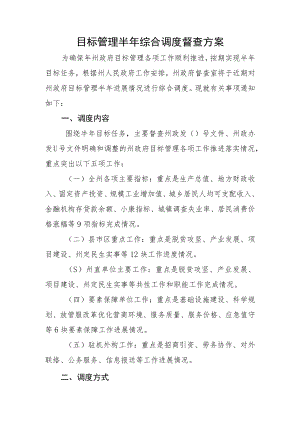 目标管理半年督查推进执行方案(目标管理半年综合调度).docx