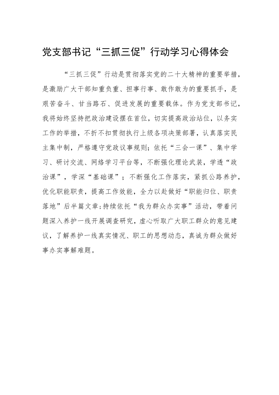 党支部书记“三抓三促”行动学习心得体会.docx_第1页