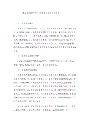 稷山县市容环卫中心经费支出绩效自评报告.docx