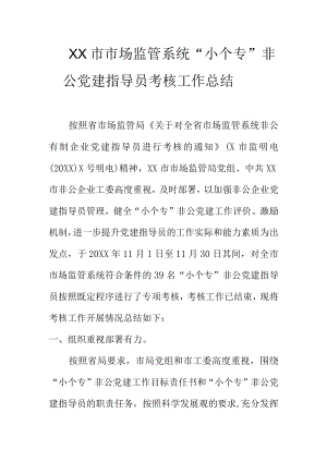 XX市市场监管系统小个专非公党建指导员考核工作总结.docx