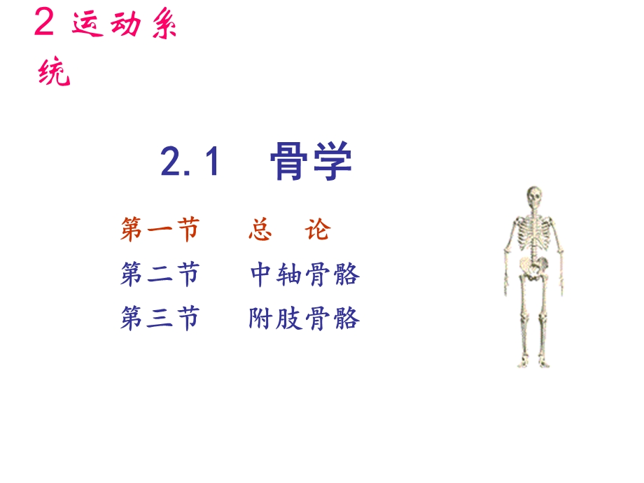 解剖生理学骨学.ppt_第3页