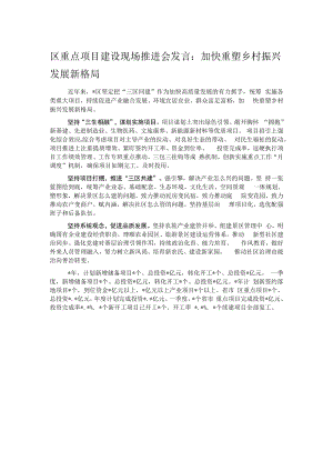 区重点项目建设现场推进会发言：加快重塑乡村振兴发展新格局.docx