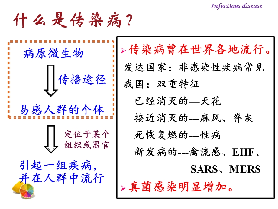 (精品)传染病课件.pptx_第3页