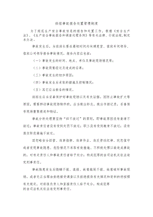 班组事故报告处置管理制度.docx