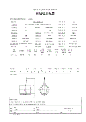 管线报告LC0108102.docx