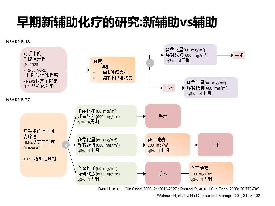 乳腺癌新辅助化疗共识与进展.pptx_第3页