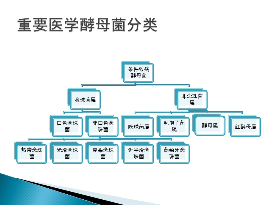 侵袭性真菌感染的实验室检查.pptx_第2页