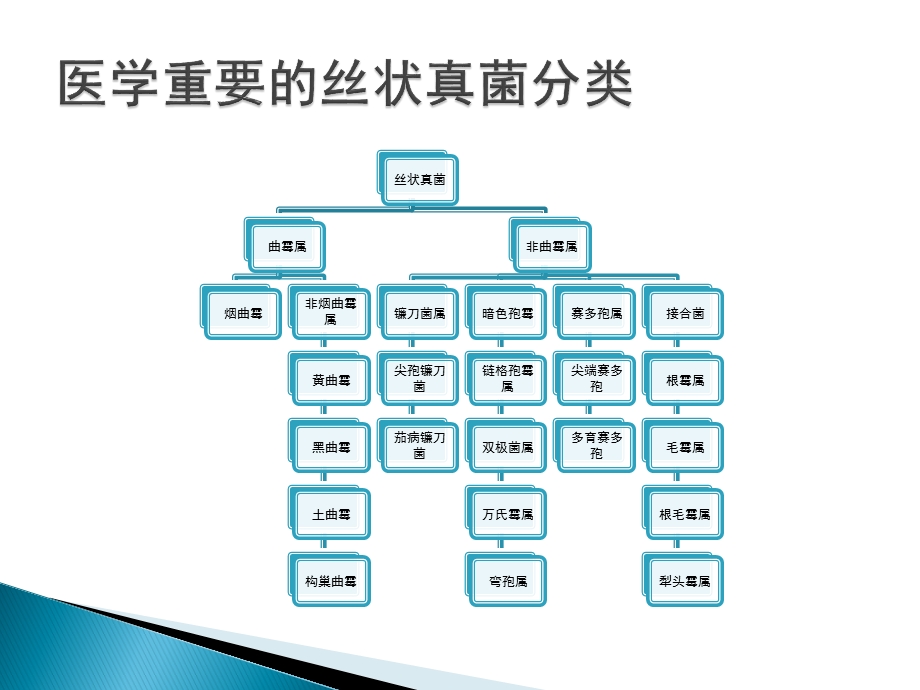 侵袭性真菌感染的实验室检查.pptx_第3页