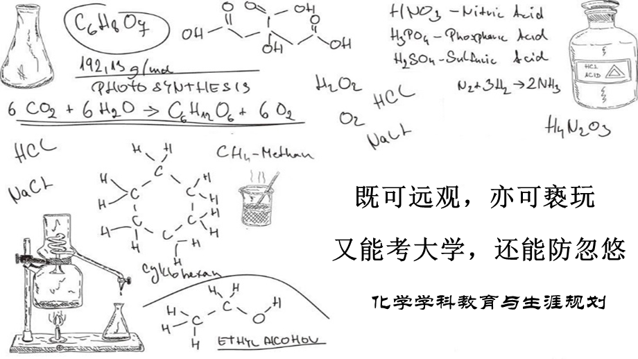 化学生涯教学(化学学科介绍).pptx_第2页