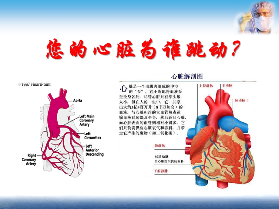 冠心病饮食治疗.pptx_第2页