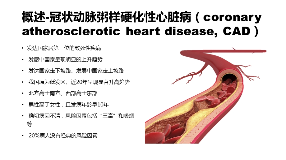 冠心病外科治疗白一帆.pptx_第3页