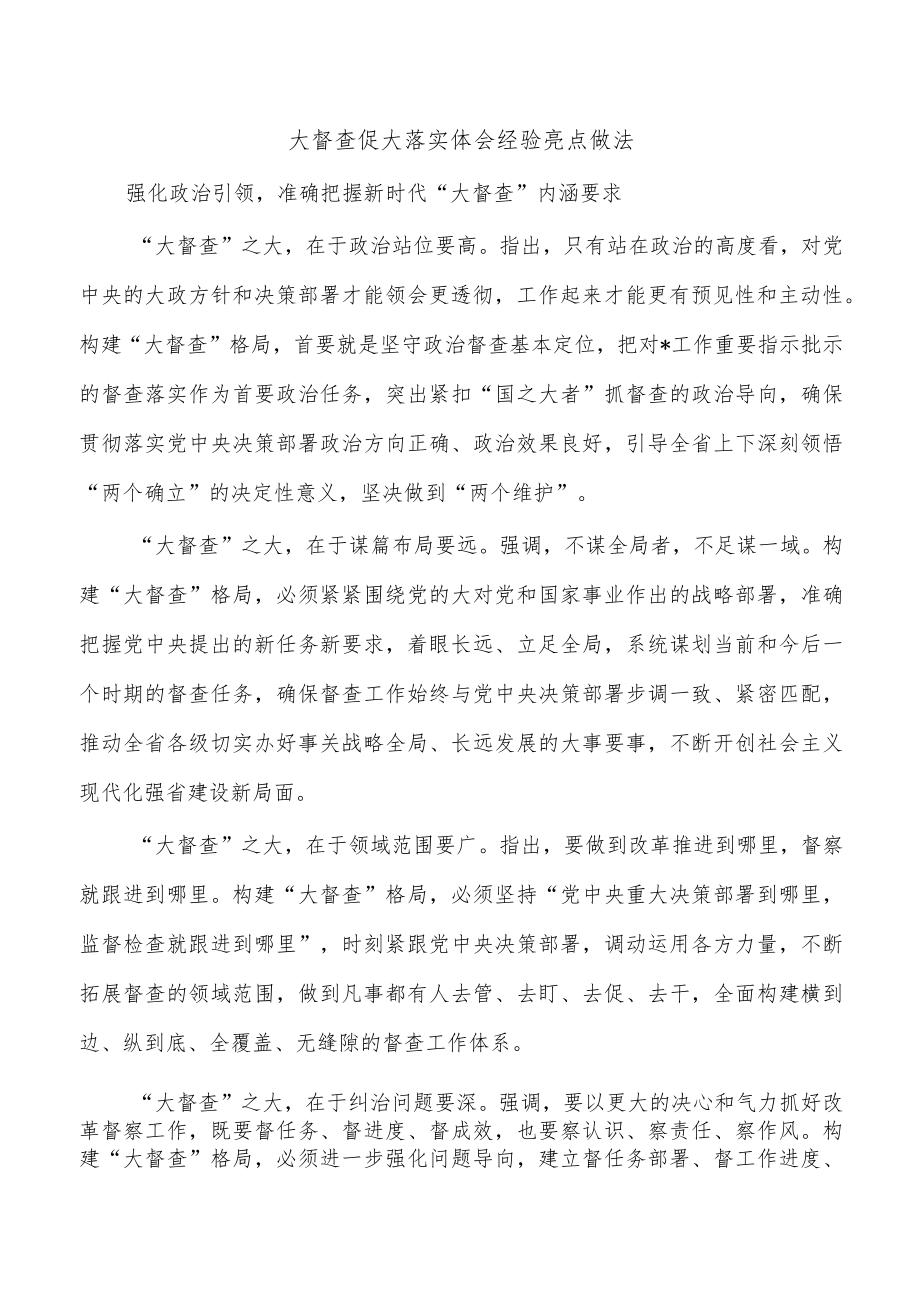 大督查促大落实体会经验亮点做法.docx_第1页