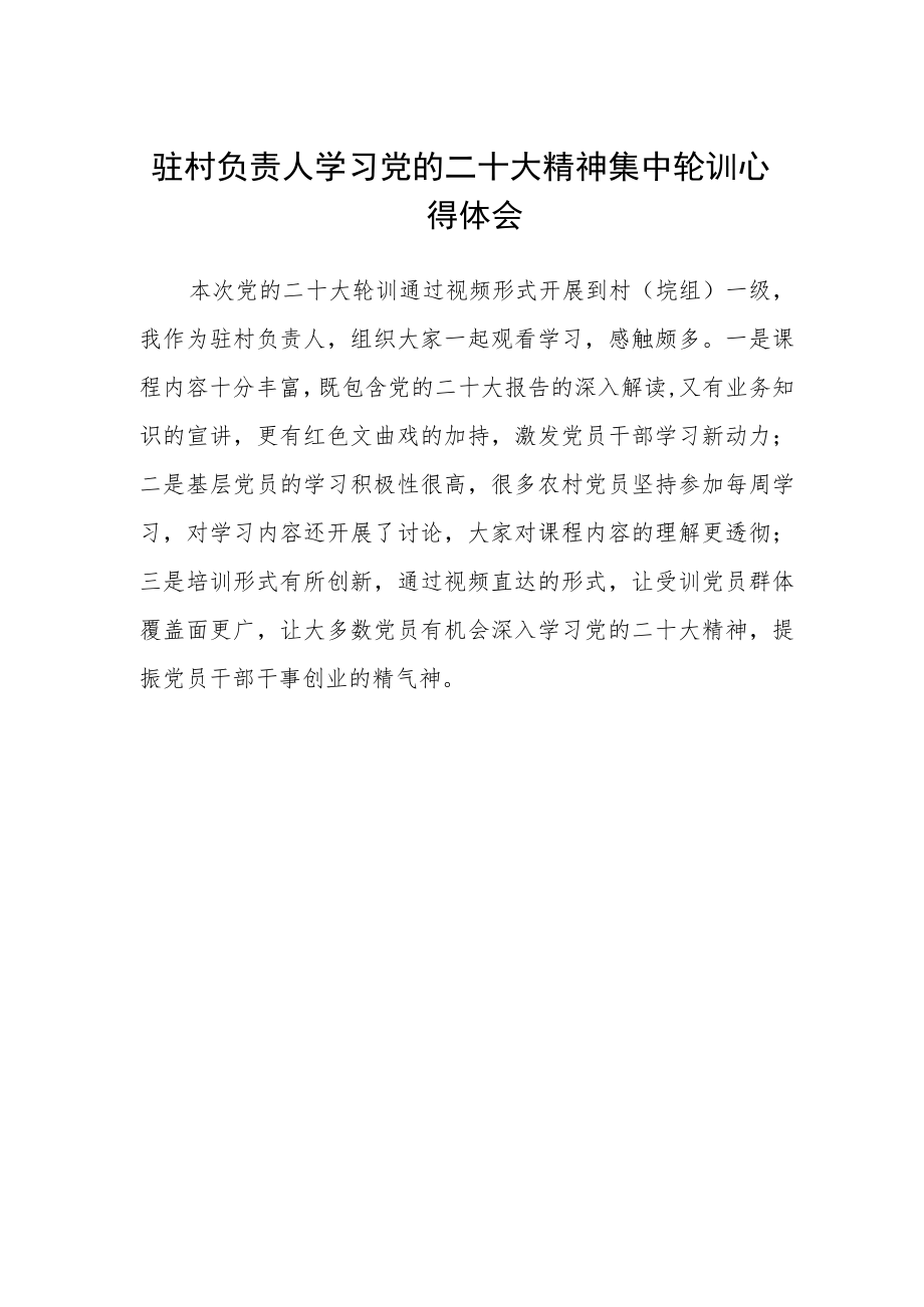 驻村负责人学习党的二十大精神集中轮训心得体会.docx_第1页