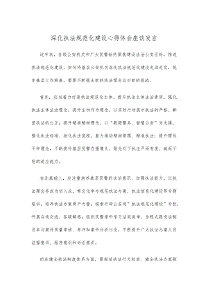 深化执法规范化建设心得体会座谈发言.docx