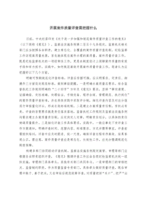 开展案件质量评查需把握什么.docx