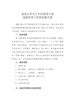 某某大学关于中层领导干部选拔任用工作的实施方案.docx