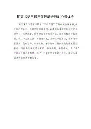 团委书记三抓三促行动进行时心得体会.docx