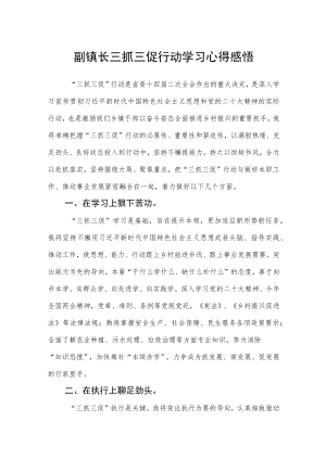 副镇长三抓三促行动学习心得感悟.docx