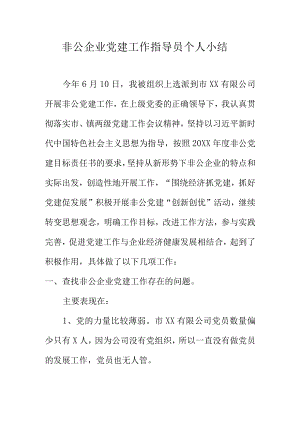 非公企业党建工作指导员个人小结.docx