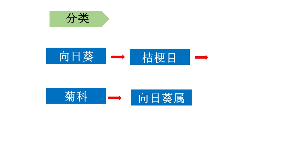 向日葵的栽培技术.pptx_第2页