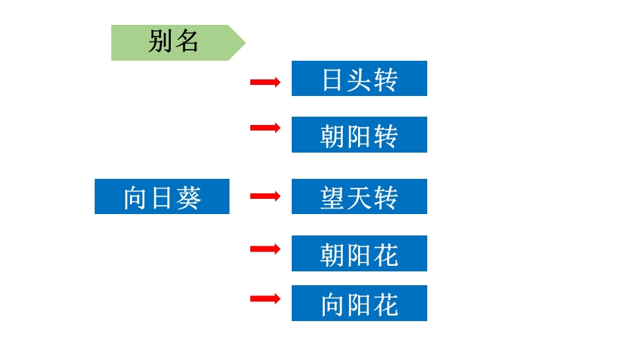 向日葵的栽培技术.pptx_第3页