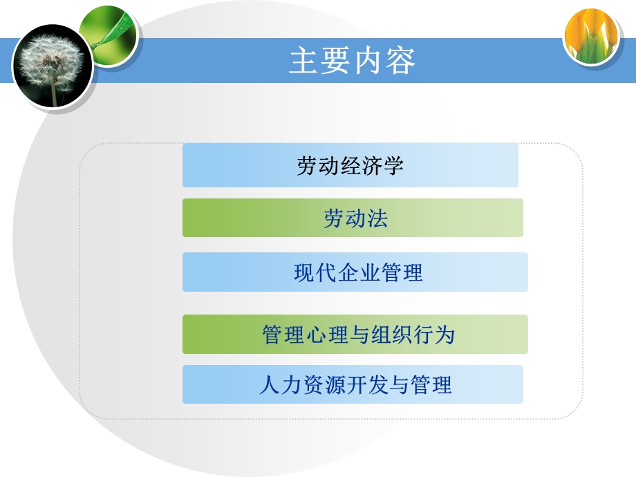 企业人力资源管理师(基础知识).pptx_第2页