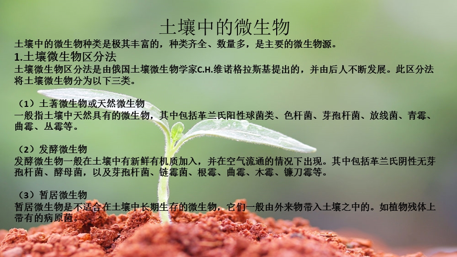 土壤微生物与土壤污染修复.pptx_第3页