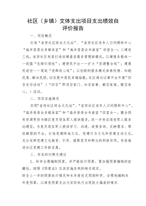 社区乡镇文体支出项目支出绩效自评价报告.docx