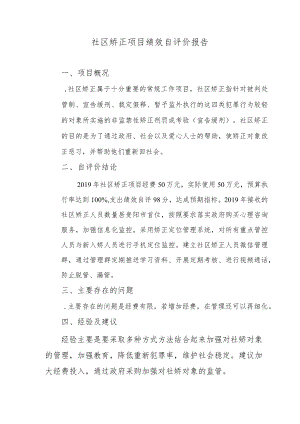 社区矫正项目绩效自评价报告.docx