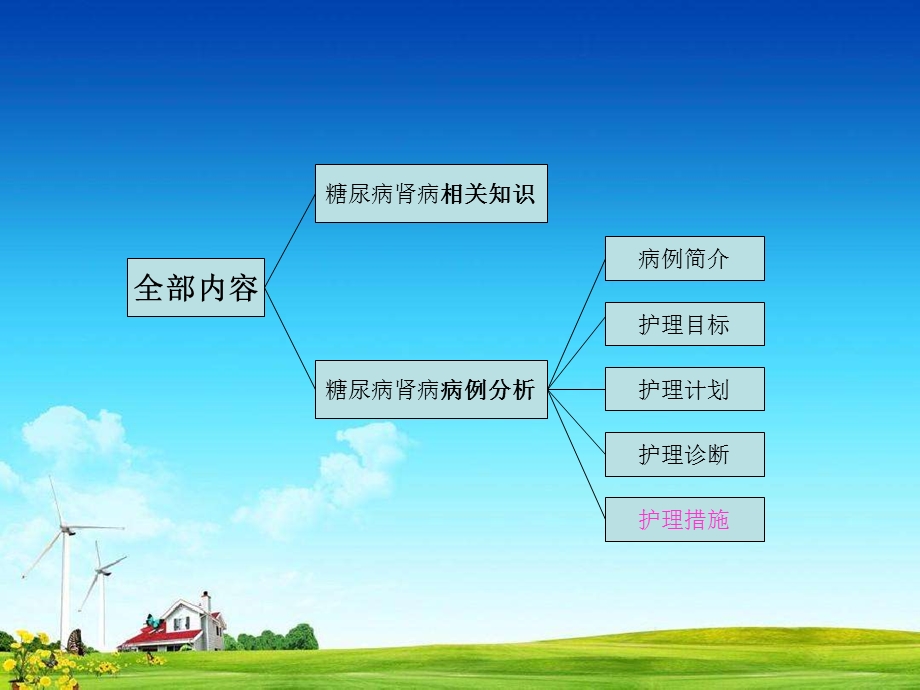 糖尿病肾病护理查房.pptx_第2页