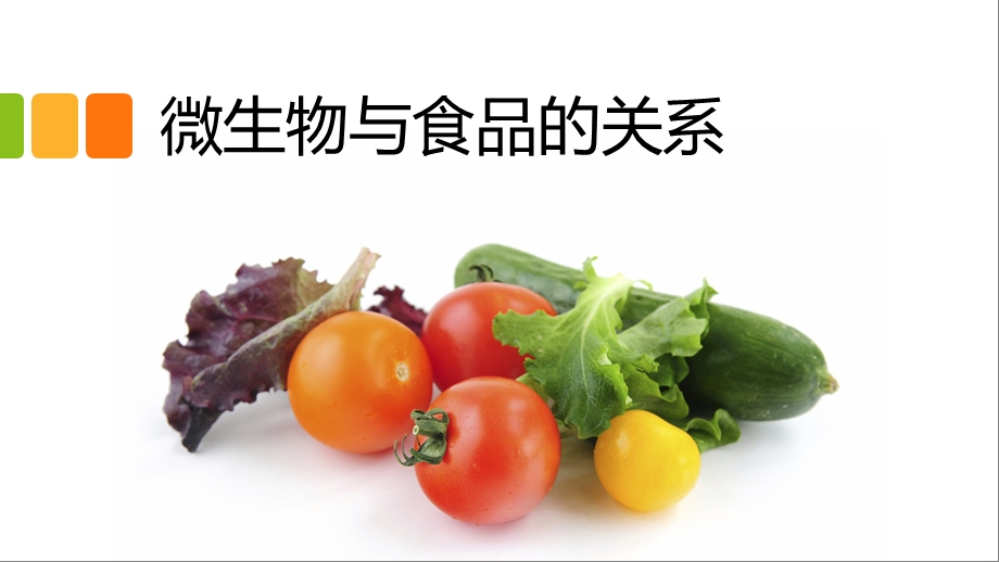 微生物与食品的关系.pptx_第1页