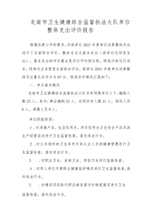 龙南市卫生健康综合监督执法大队单位整体支出评价报告.docx